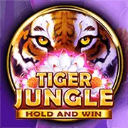 Chương trình VIP Melbet Chính Thức